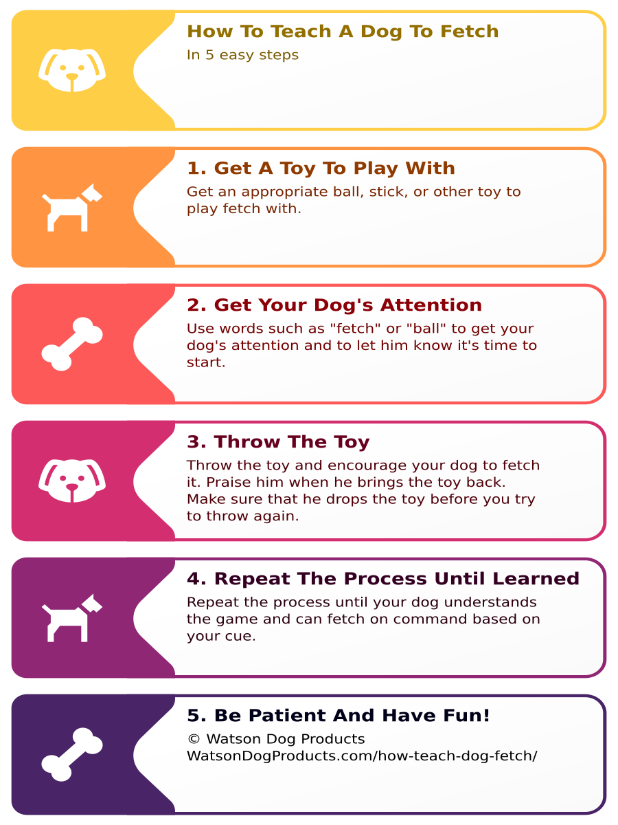 how-to-teach-a-dog-to-fetch-watsondogproducts