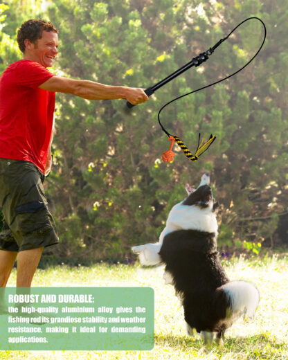 Man Playing With Dog With Dog Flirt Pole